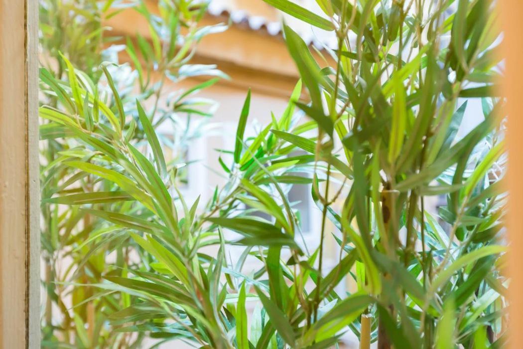 Spanish Step Nest Luxury 로마 외부 사진